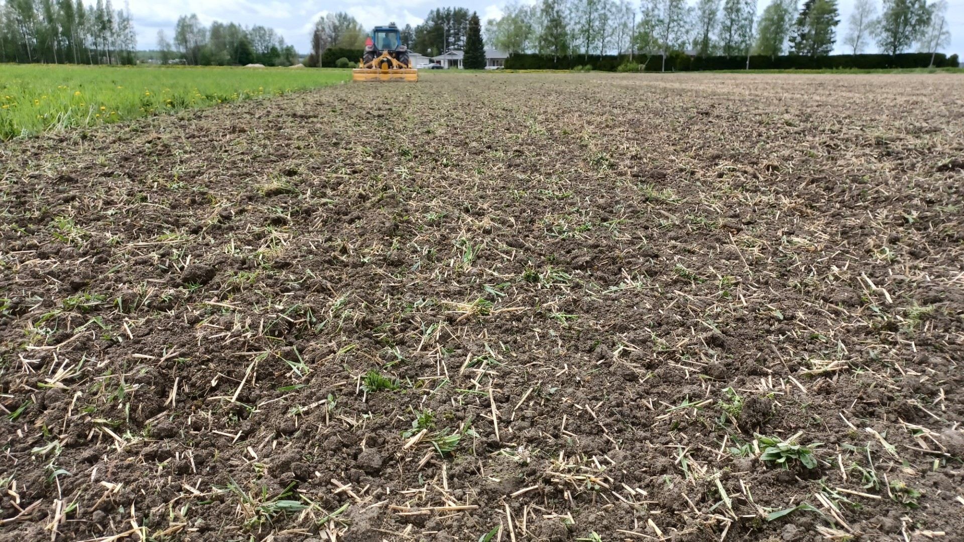 Alpego FG-Bio kelajyrsin 5