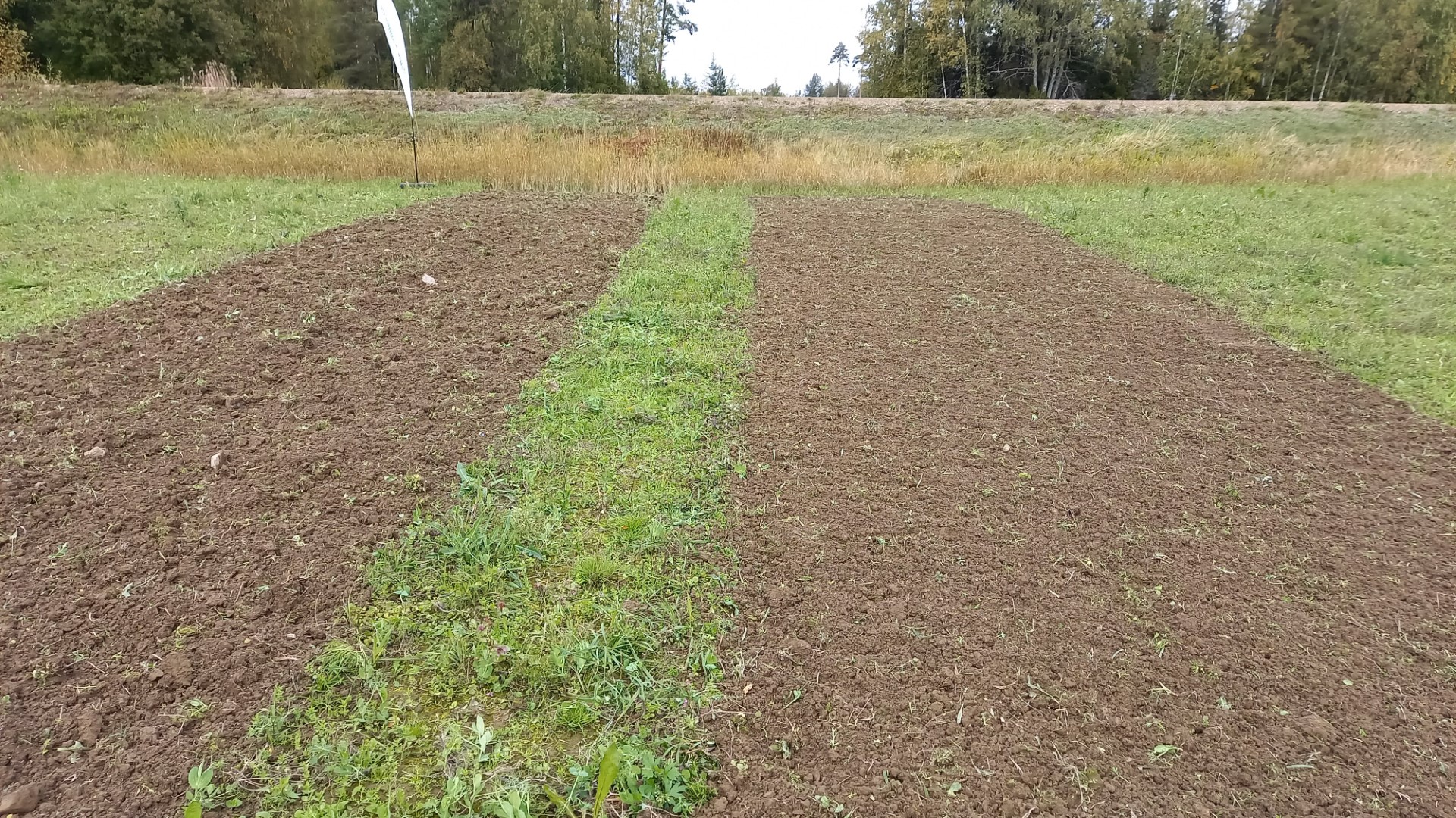 Alpego FG-Bio kelajyrsimen työjälki luukku auki ja kiinni