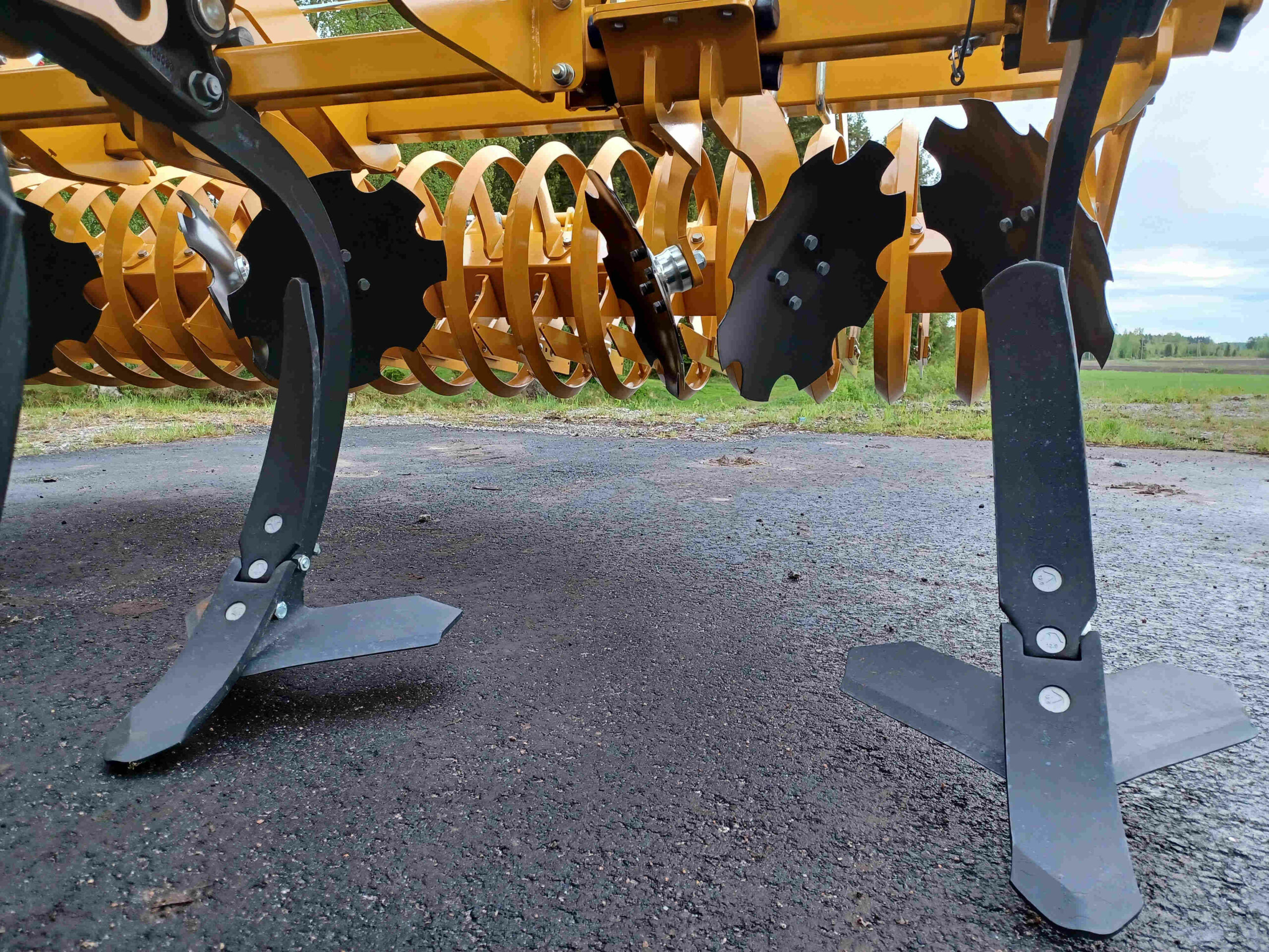 Alpego Cayman Alta Kuvattuna Taaksepäin