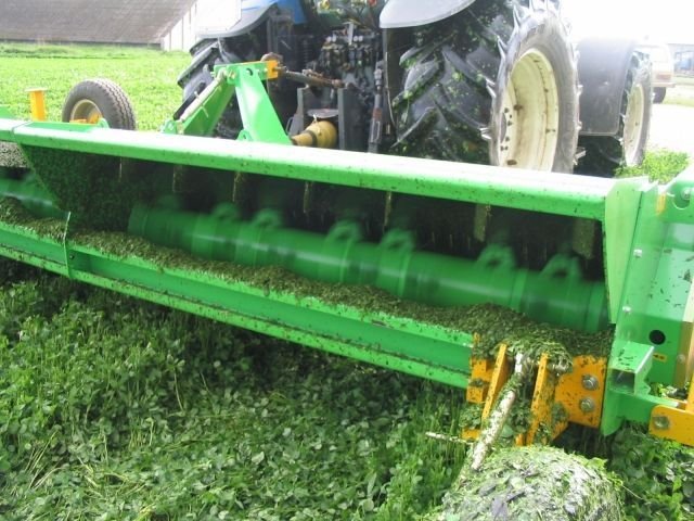 Cabe TSN kesantomurskain 1