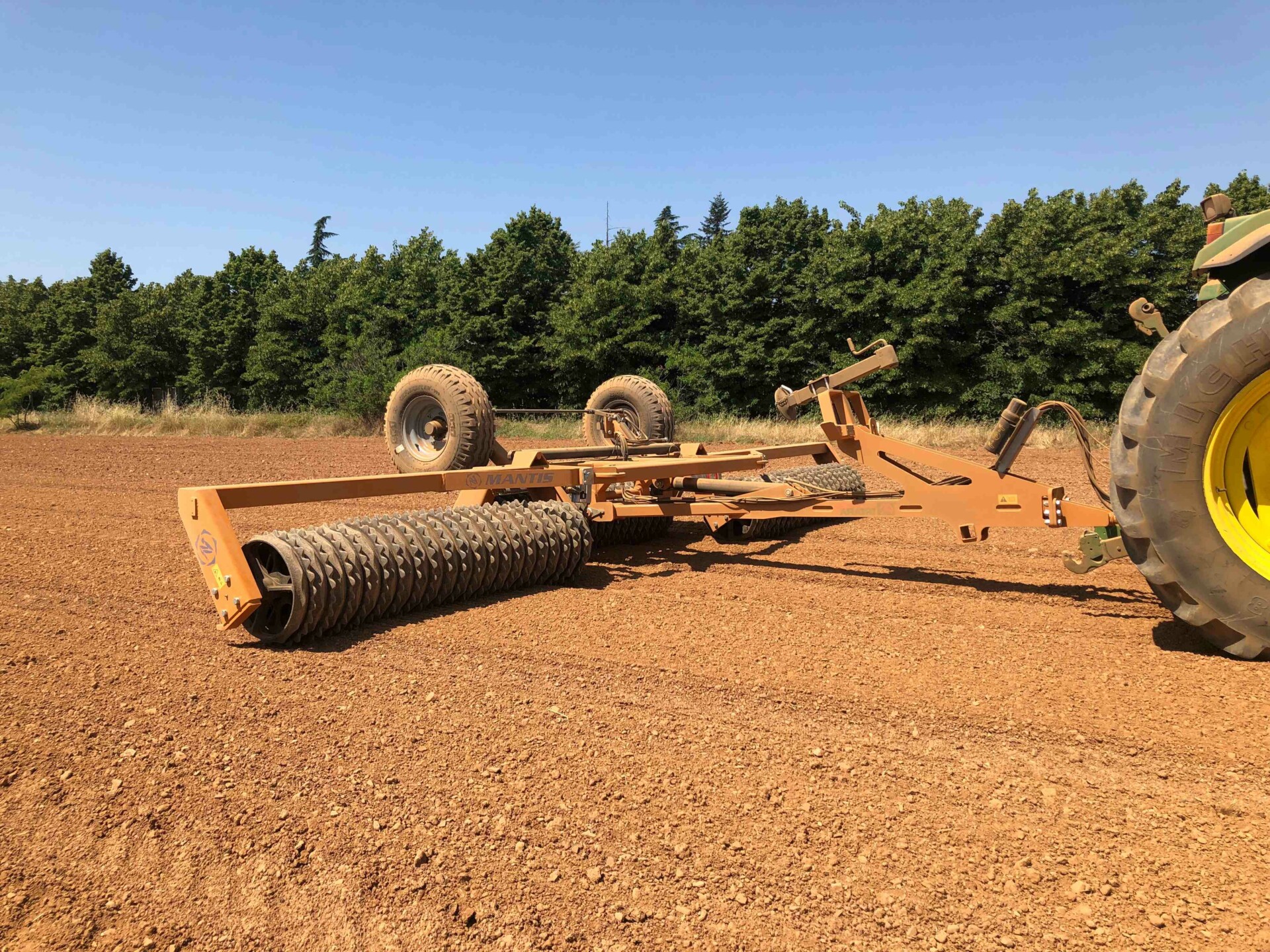 Mantis etuviistosta pellolla