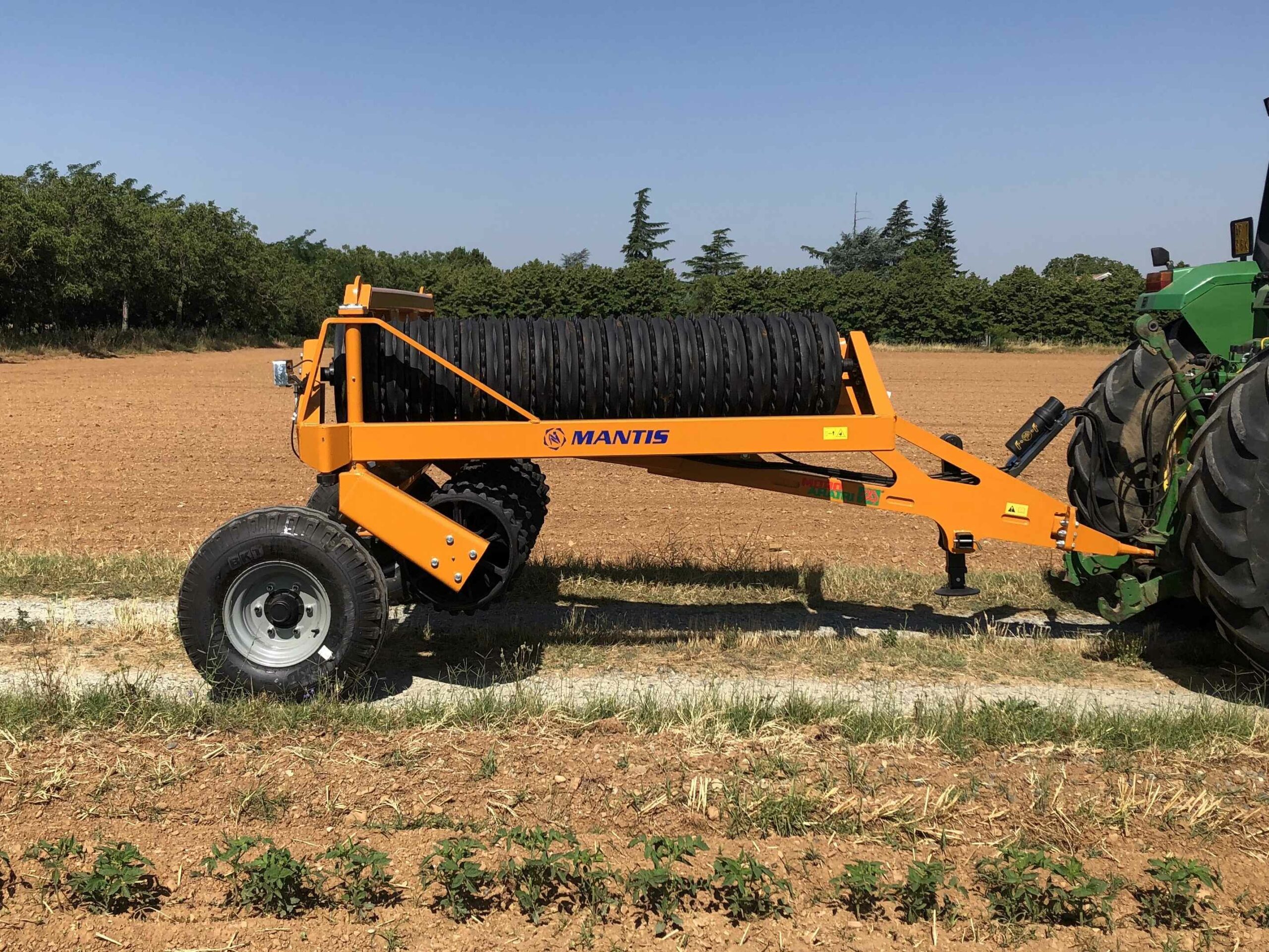 Mantis sivulta tiellä